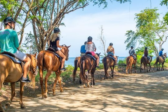 Chukka Zipline, Horse Ride & Swim, River Tube, and Entry to Ocean Outpost Park