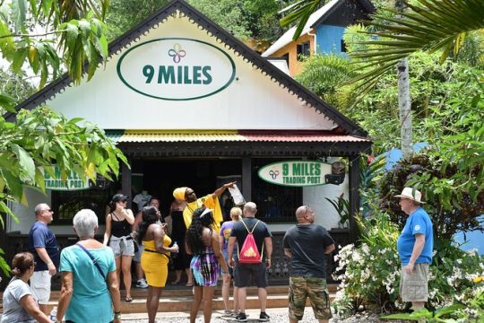 Bob Marley's Nine Mile Day-Trip with Admission & Guided Tour from Montego Bay