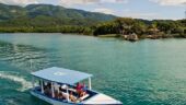 Snorkeling, feeding the fish, and glass bottom boat were all amazing. Captain was very knowledgeable and friendly.