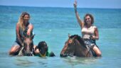 Private transfer and horseback, not so private catamaran cruise