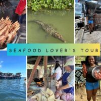 Street Food Tours