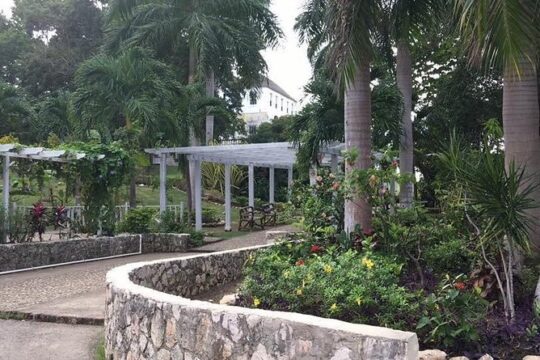 Evening Tour to Rose Hall Great House & Luminous Lagoon Night Tour Montego Bay