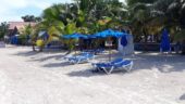 Negril tour