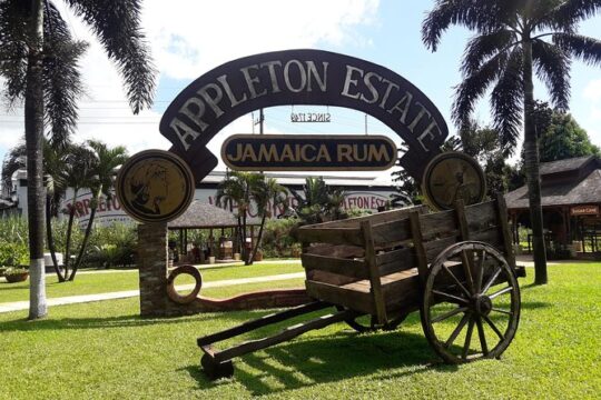 Appleton Estate Rum and Pelican Bar Private Tour from Montego Bay