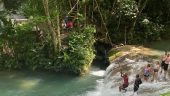 Great Guided Tour Experience