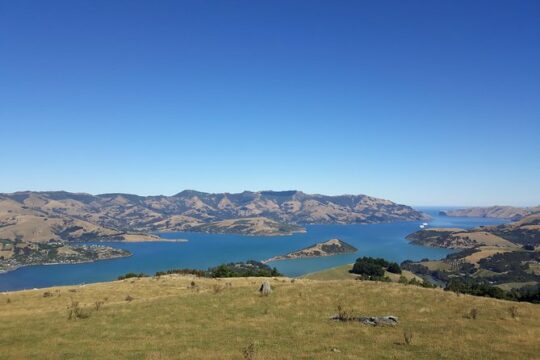 Akaroa Shore Excursion: Banks Peninsula, Christchurch City Tour and Sheep Farm Tour