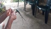 Personal interaction with natures smallest creatures that you rarely see. 