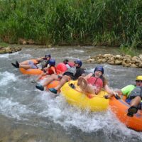 Day Trips & Excursions