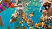 Hotel pick up and snorkeling