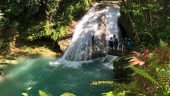 Best private tour guide in Jamaica