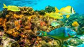 Breathtaking experience you will never forget!