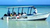 Best tour company in Jamaica