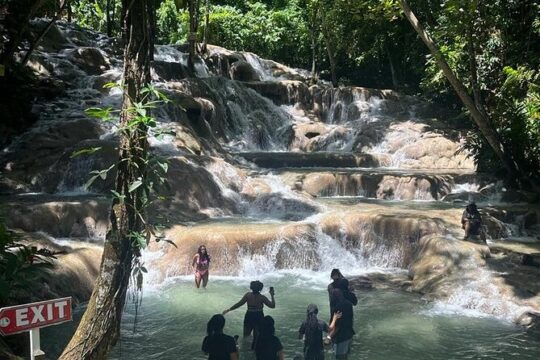 Dunn's River Falls Private Round-trip taxi