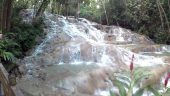 Great snapshot of Jamaica!