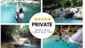 Amazing experience! Care greatly about customer experience!