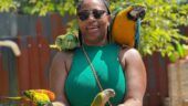 A Jamaica Must-Do