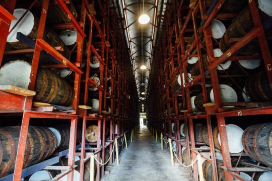 Appleton Rum Estate and Ys Falls From Montego Bay
