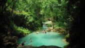 Dunn’s River/Nine Mile