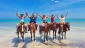 Chukka Horseback Ride N Swim