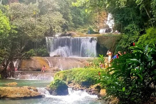 YS Falls Private Tour