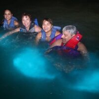 Night Tours