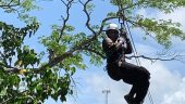 Amazing Zipline Experience