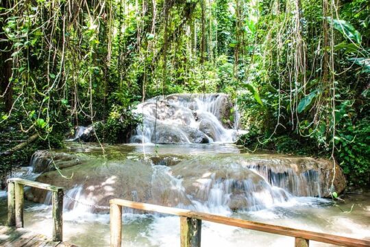 Turtle River Falls and Gardens Private Tour