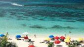 Amazing Airport Transfer and full day trip from MoBay to Negril