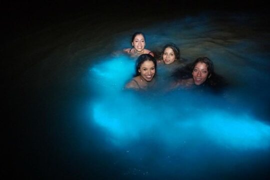 Dunn’s River Falls and Luminous Lagoon Private Tour