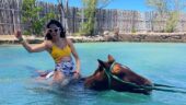 Fun and, most importantly, safe outing