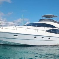Day Cruises