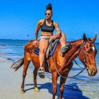 Holiday & Seasonal Tours