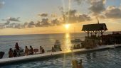 Best In Montego Bay