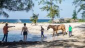 Amazing Birthday Experience with Know Jamaica Tours