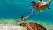 Amazing excursion