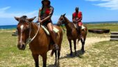 Jamaica Adventure