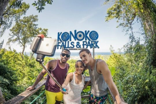 Konoko Falls and Park Private Tour