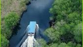 Get close to nature in Jamaica