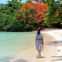 Walking Tours