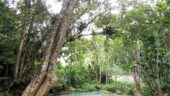 Fantastic Experience with Holiday Services Jamaica