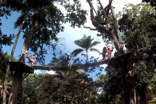 Dunns River Falls Park and Beach