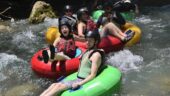 River Tubing, Ziplining, and Dunns River