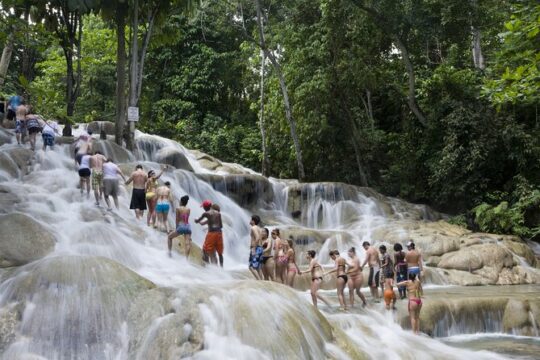 Dunn's River Falls plus Luminous Lagoon (Glistening Water)Private Tour