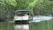 A must do adventure in Jamaica 