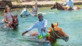 Mount up for an unforgettable Jamaican experience!!!