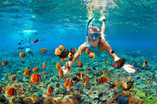 Snorkeling Activity with Boat Ride in Montego Bay