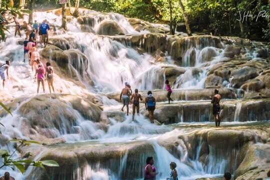 Bob Marley Nine Mile, Dunn's Falls and Luminous Lagoon Private Tour