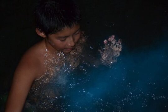 Luminous Lagoon Tour from Montego Bay & Rosehall Hotels