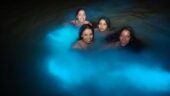 Unforgettable Private Tour to the Blue Lagoon with Thomas Explora Tours!