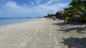 Excursions and shuttle services for wedding